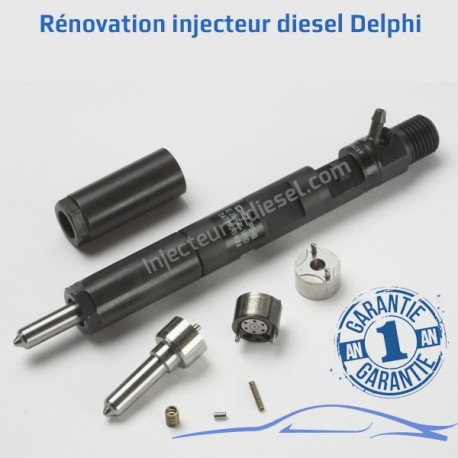 Rénovation d'injecteurs Delphi
